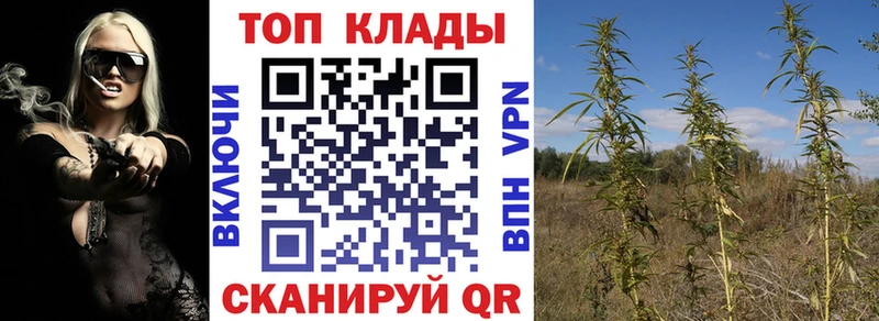 Купить закладку АМФ  Меф  БУТИРАТ  Кетамин  Псилоцибиновые грибы  Кокаин  Гашиш  Конопля  Нестеров