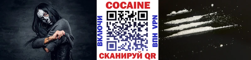 Купить  Нестеров  КОКАИН Fish Scale 