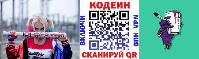 Купить закладки  Нестеров  Кодеиновый сироп Lean Purple Drank 